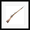 Hotchkiss Model 1878 rifle by Winchester's Repeating Arms