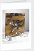 Escapement model by Thomas Earnshaw by Thomas Earnshaw