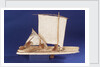 Brazilian raft or Jangada, starboard broadside by unknown
