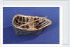 River Tywi coracle, starboard broadside by Unknown
