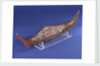 Ethnographic boat model by Nancy Shanawdithit