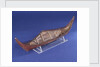 Ethnographic boat model by Nancy Shanawdithit