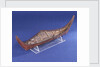 Ethnographic boat model by Nancy Shanawdithit