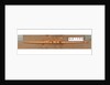 Full hull model, racing pair shell, port broadside by unknown