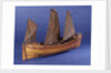 Full hull model, sailing lifeboat, starboard stern quarter by unknown