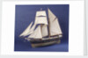 'Little Mystery', port 3/4 bow by Max T. Davey