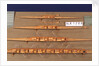Full hull model, racing pair shell, port broadside by Unknown