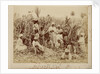 Sugar-cane cutters in Jamaica by unknown