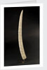 Loango Tusk by unknown