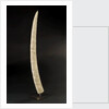 Loango Tusk by unknown