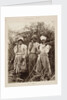 Slaves on a sugar plantation in Jamaica, West Indies by unknown