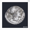 Denarius depicting head of a goddess by unknown