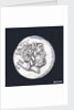 Denarius depicting head of Neptune by unknown