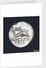 Denarius depicting head of Neptune by unknown