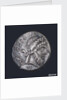Denarius depicting head of Numa Pompilius by unknown