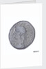 Tetradrachm of Alexandria by unknown