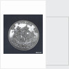 Medal commemorating Antonio Perrenot de Granvela (1516-86), Bishop of Arras, Archbishop of Malines, Cardinal & Viceroy of Naples by Unknown