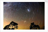 Star Trails Blue Mountains by Edward Dobosz