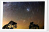 Star Trails Blue Mountains by Edward Dobosz