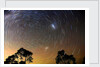 Star Trails Blue Mountains by Edward Dobosz