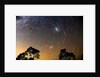 Star Trails Blue Mountains by Edward Dobosz