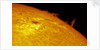 Solar Limb Prominence and Sunspot by Eric Toops