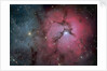 The Trifid Nebula (M20) by Eddie Trimarchi