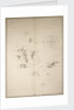 Chart of the Galapagos, surveyed in the merchant ship 'Rattler', and drawn by Captain James Colnett, of the Royal Navy. Corrections to 1832. by James Colnett