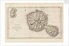 Chart of the Island Otaheite (Tahiti) by James Cook, 1769 by James Cook