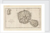 Chart of the Island Otaheite (Tahiti) by James Cook, 1769 by James Cook