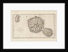 Chart of the Island Otaheite (Tahiti) by James Cook, 1769 by James Cook