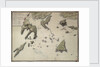 Plan of the taking of Barasound in Finland by unknown