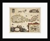 Map of Malta and Gozo by unknown