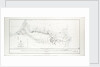 Sketch of the routes from Kustenjeh to Chernavoda and Rassova with the Karasu Lakes by Captain T. Spratt R.N. C.B. 24 July 1854 by Thomas A. B. Spratt