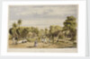 Slave plantation at Surinam, South America by unknown