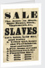 Slave sale poster by Unknown