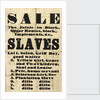 Slave sale poster by Unknown