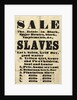 Slave sale poster by Unknown