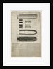 Plan and sections of slave ship 'Brooks' [sometimes 'Brookes'] by unknown