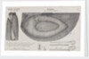 Halkett's boat-cloak or cloak-boat by Unknown