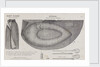 Halkett's boat-cloak or cloak-boat by Unknown
