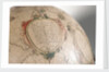 Cartouche in southern continent by Willem Jansz Blaeu