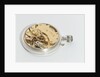 Deck watch, movement by Ulysse Nardin