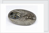 Butterfield dial for latitudes 40-60 north by Chapotot