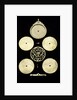 Astrolabe by unknown