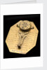 Butterfield dial, reverse by Macquart