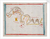 Concepcion by Basil Ringrose