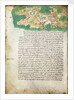 Chart of Ithaki by Cristoforo Buondelmonti