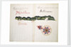 Masatlan and Sallinas by William Hack