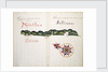 Masatlan and Sallinas by William Hack